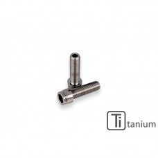 CNC Racing Titanium Rear hub Pinch Bolt kit for Large Ducati Swingarm Fits: 1198/1098/848, Panigale 1199/1299, SF 1098/848, MTS 1200 (all except Enduro), Diavel